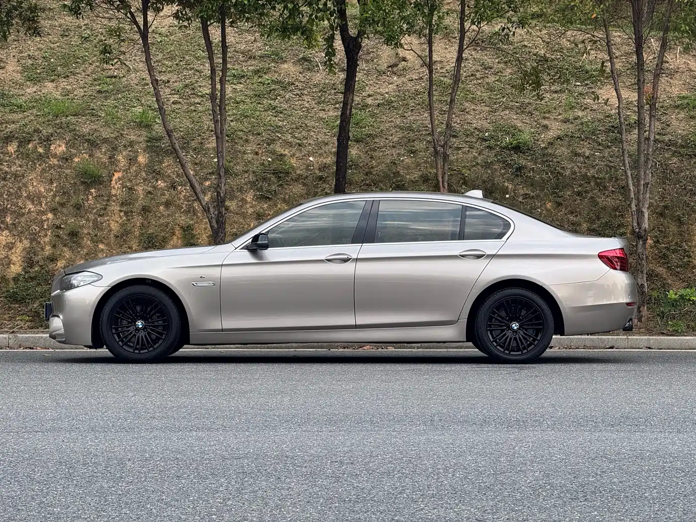 BMW 5 Series 2014 525Li Leading фото 5