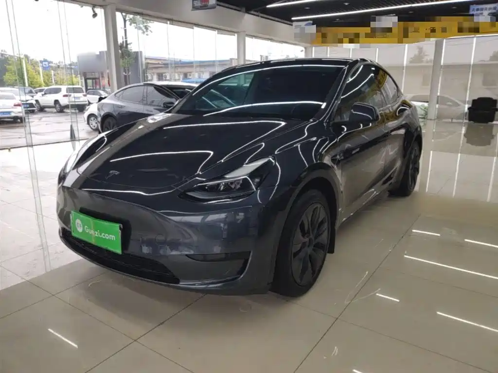 Tesla Model Y 2024 Rear-Wheel Drive Version