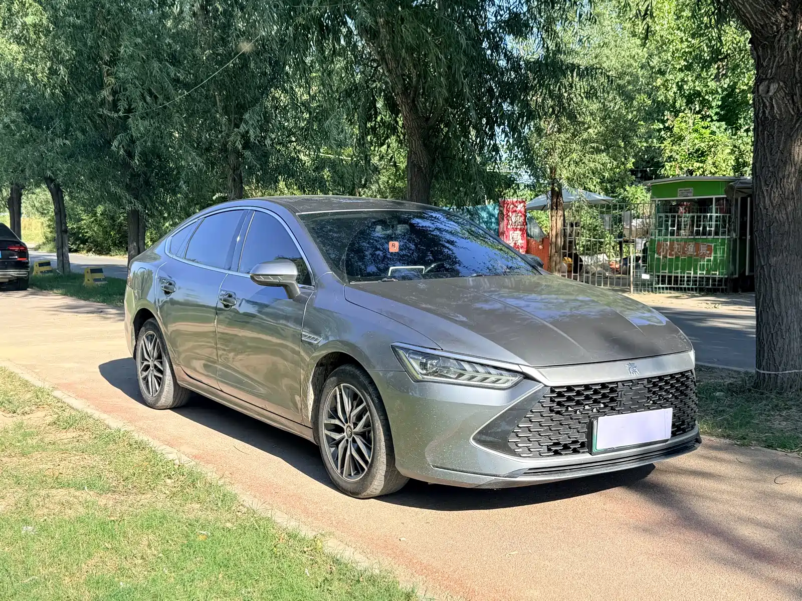Фото 3 - BYD Qin PLUS