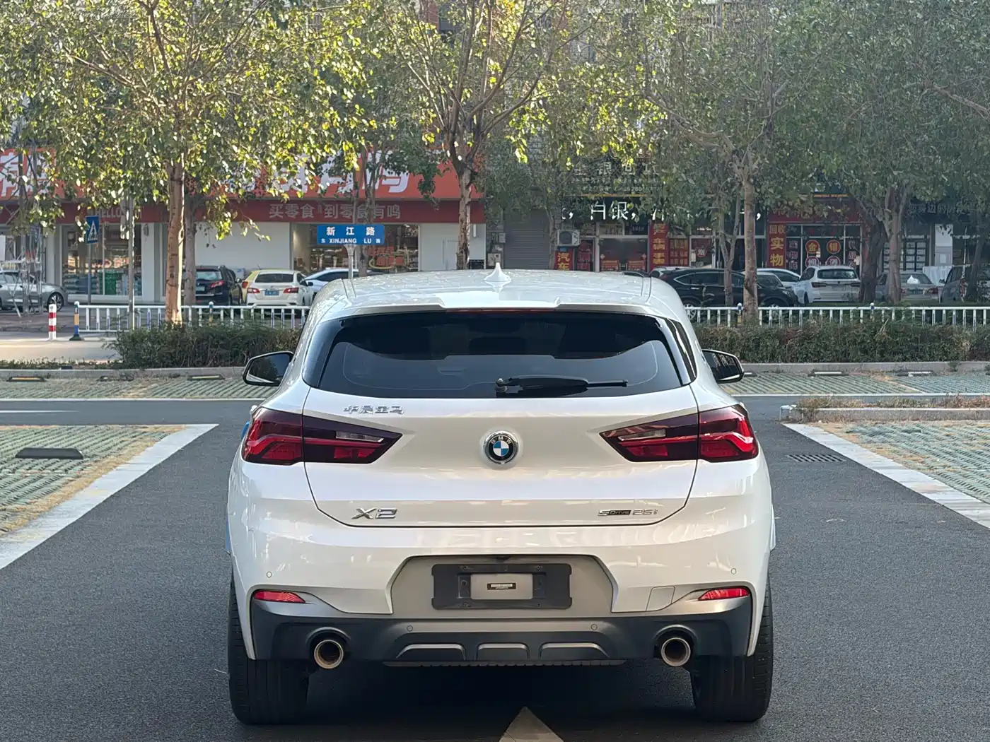BMW X2