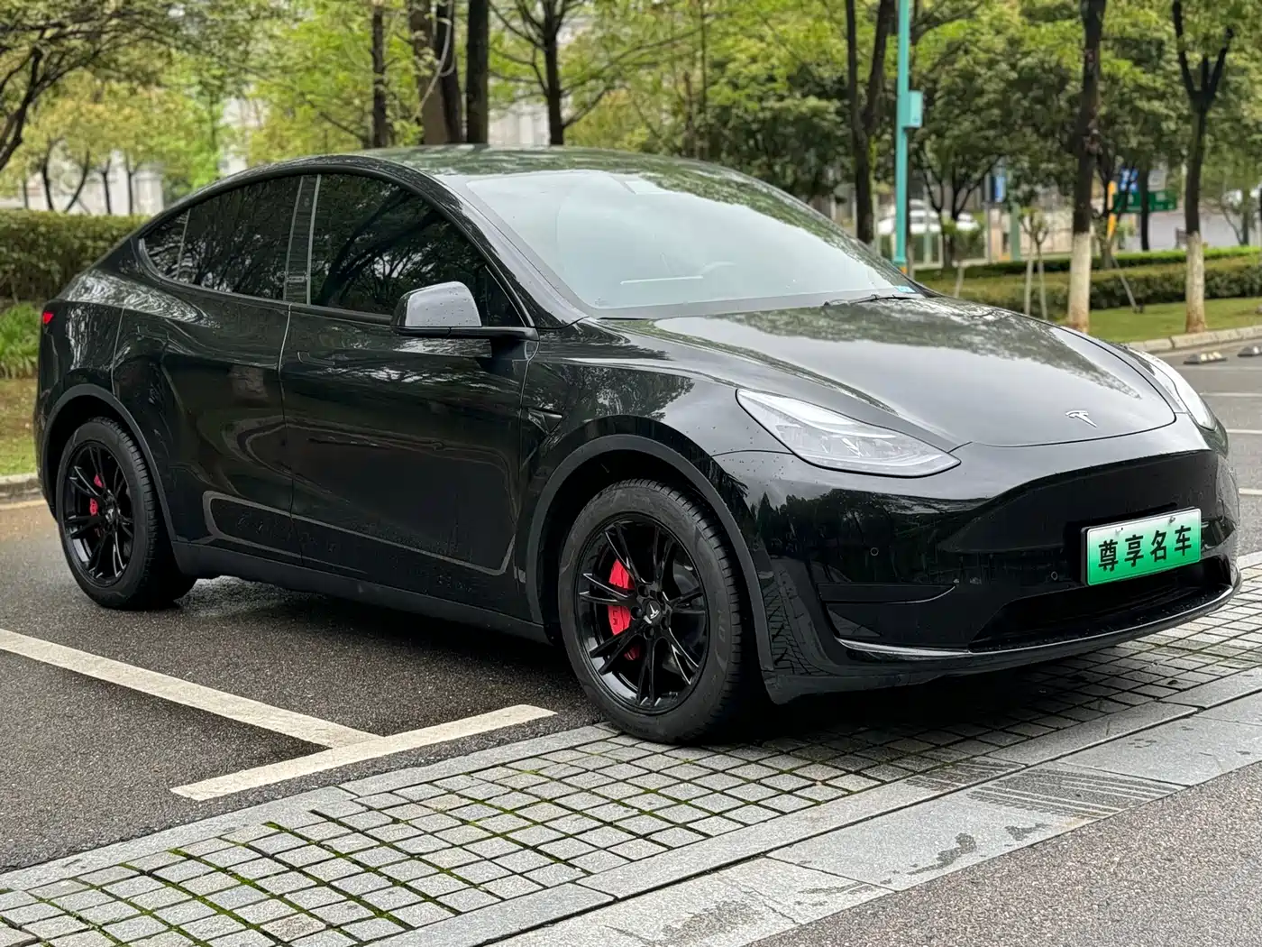 TESLA MODEL Y