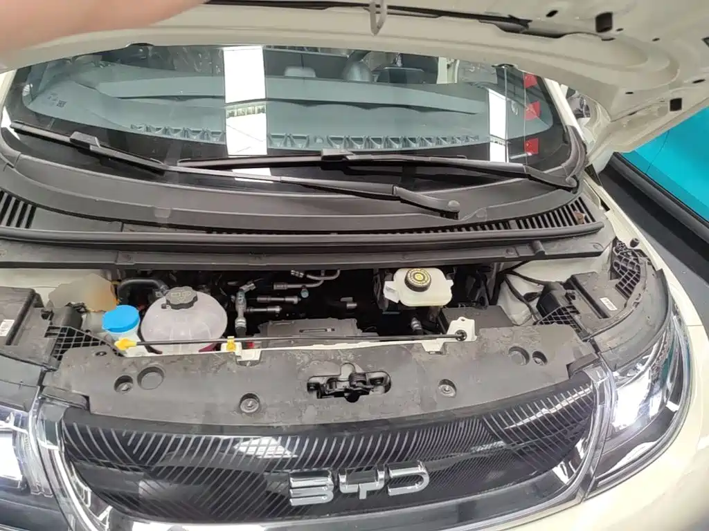 BYD Dolphin 2026 2025 420km Freedom Edition