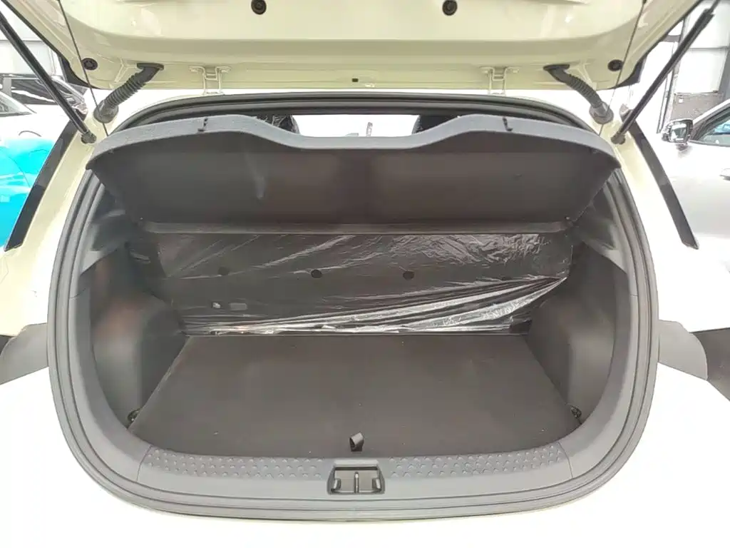 BYD Dolphin 2026 2025 420km Freedom Edition