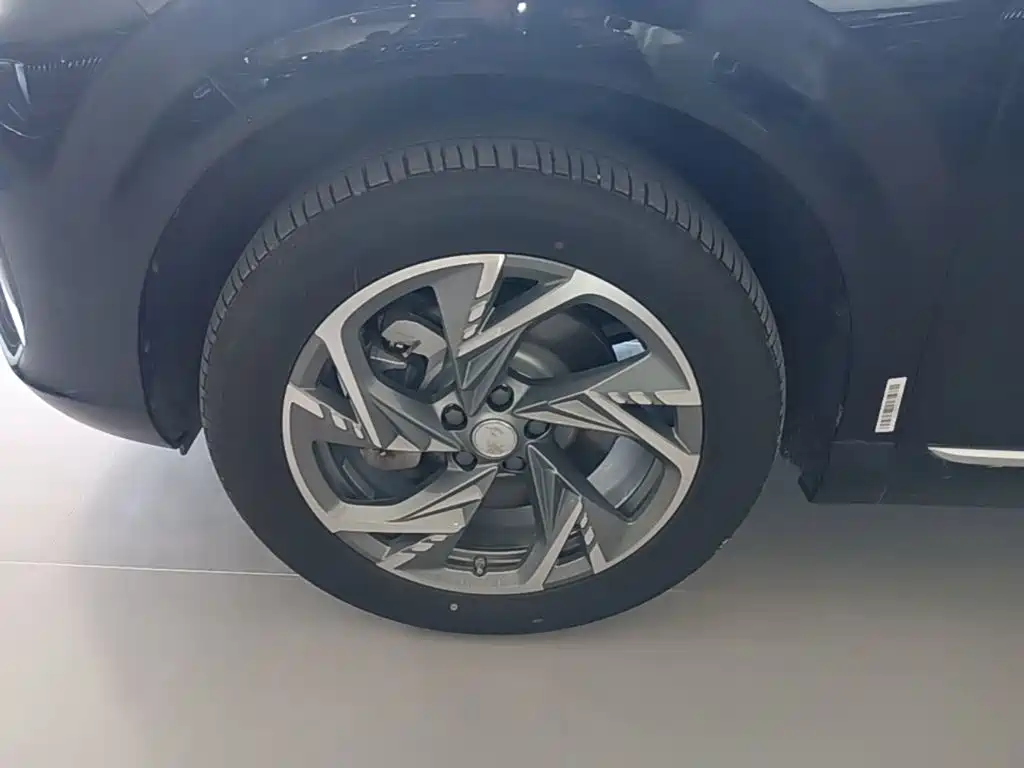 Hongqi HS3 PHEV 2025 2024 PHEV 115km Power Edition