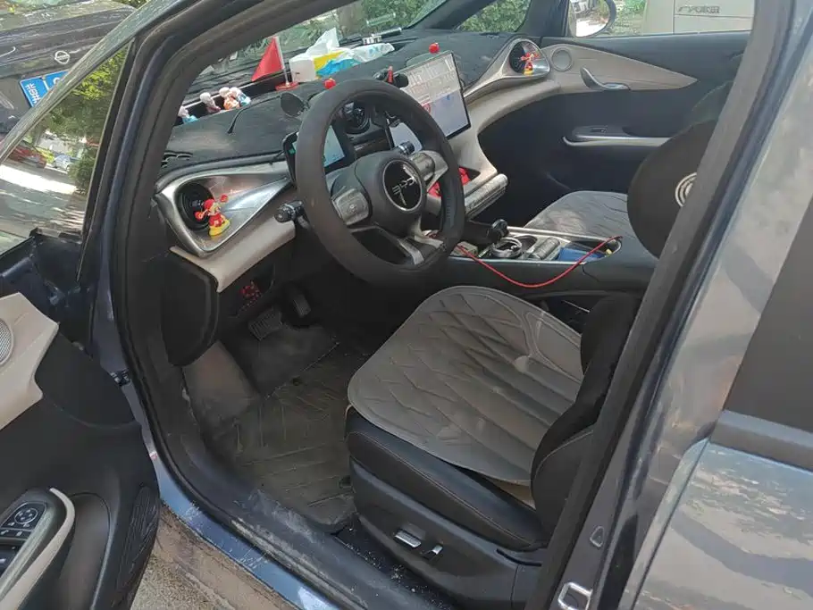 BYD Dolphin 2026 2025 420km Freedom Edition