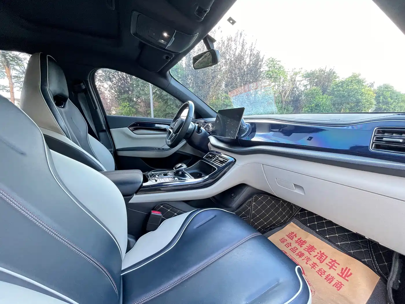BYD Qin PLUS 2021 2021 EV 400KM Luxury Model
