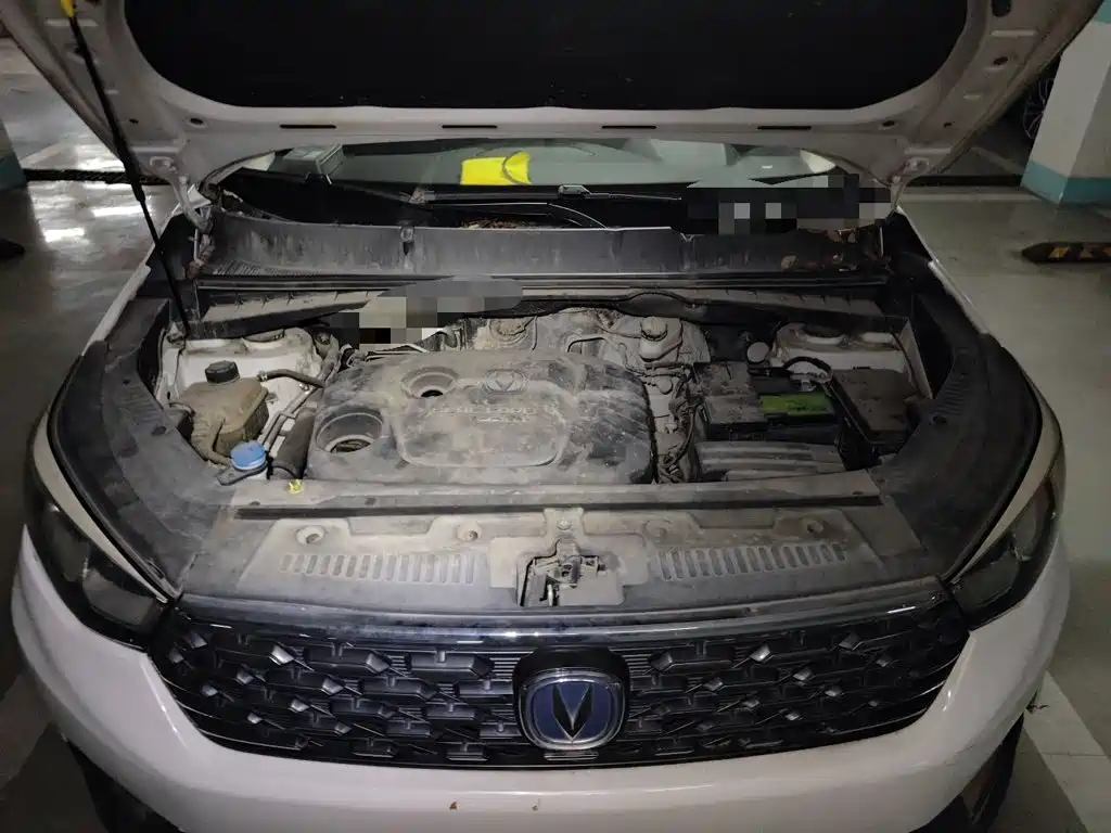 Changan CS55 2019 2018 1.5T Automatic Chromatic China V