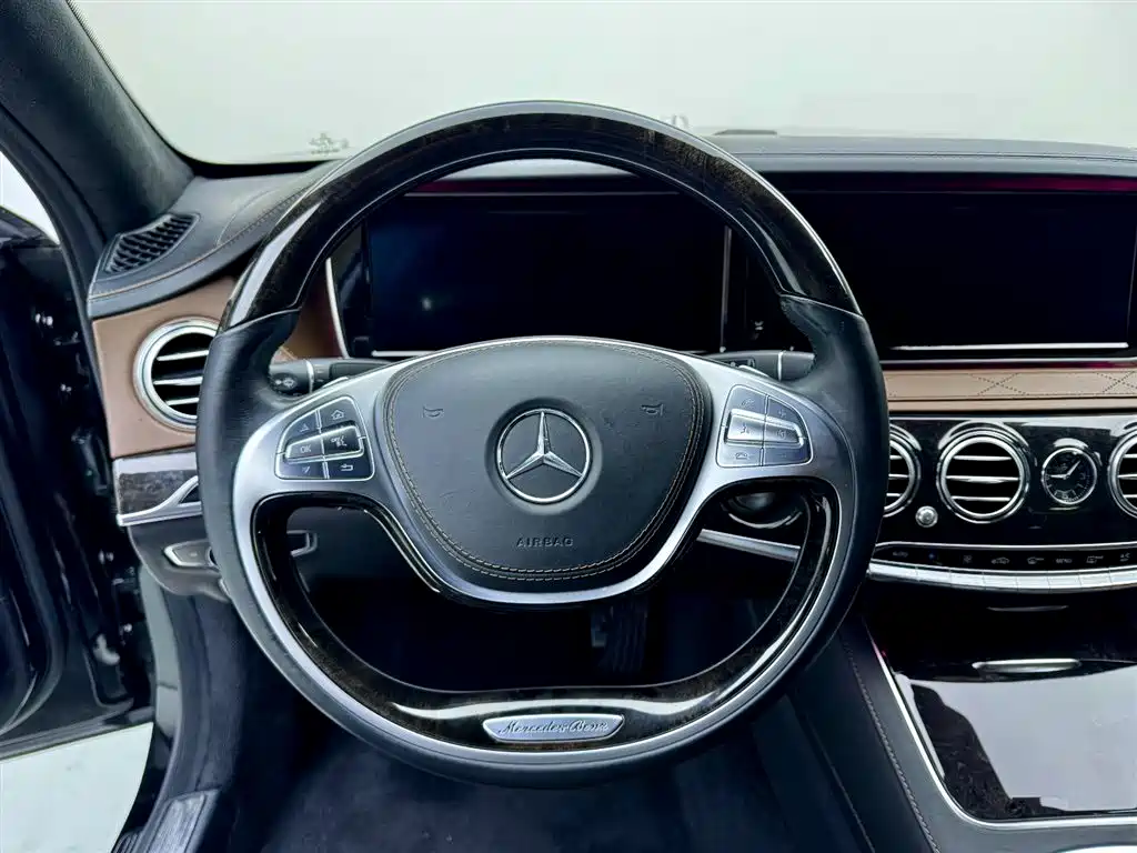 Mercedes-Benz S-Class 2014 S 600 L фото 12