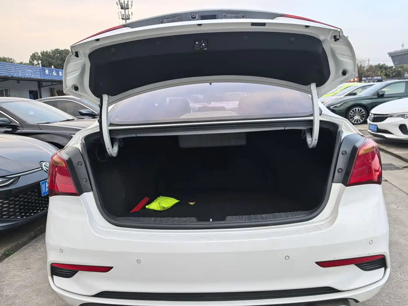 HYUNDAI NAME PICTURE