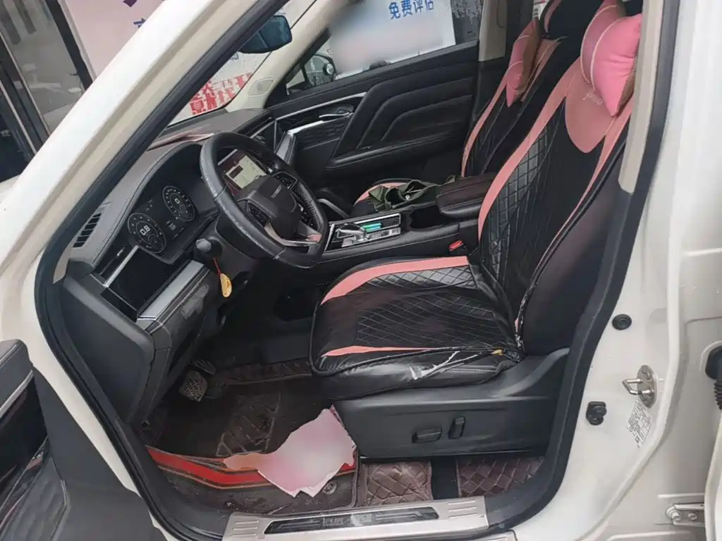 Venucia Star 2020 2020 260T Automatic 48V Mild Hybrid Turbo Star Enjoy Edition