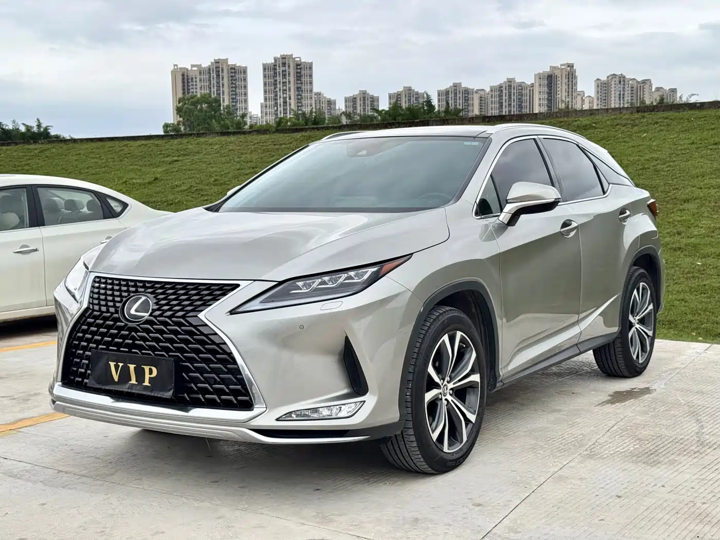 Lexus RX 2020 300 4WD Elegance Edition China VI