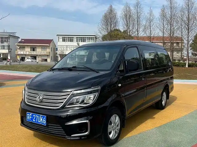 dongfeng lingzhi