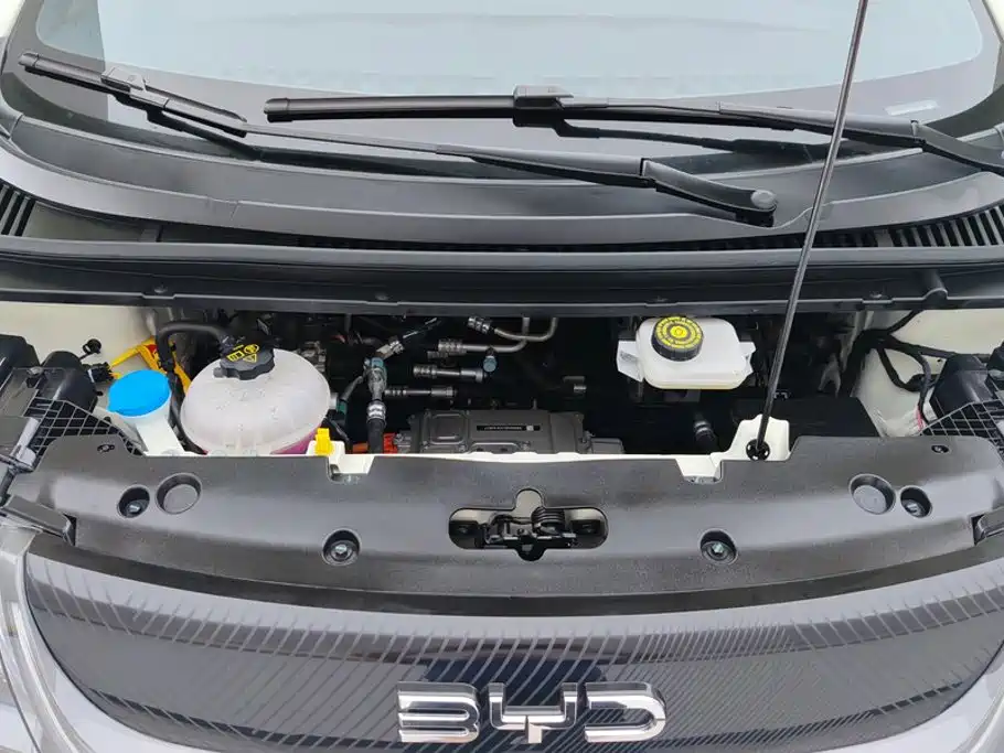 BYD Dolphin 2026 2025 420km Freedom Edition