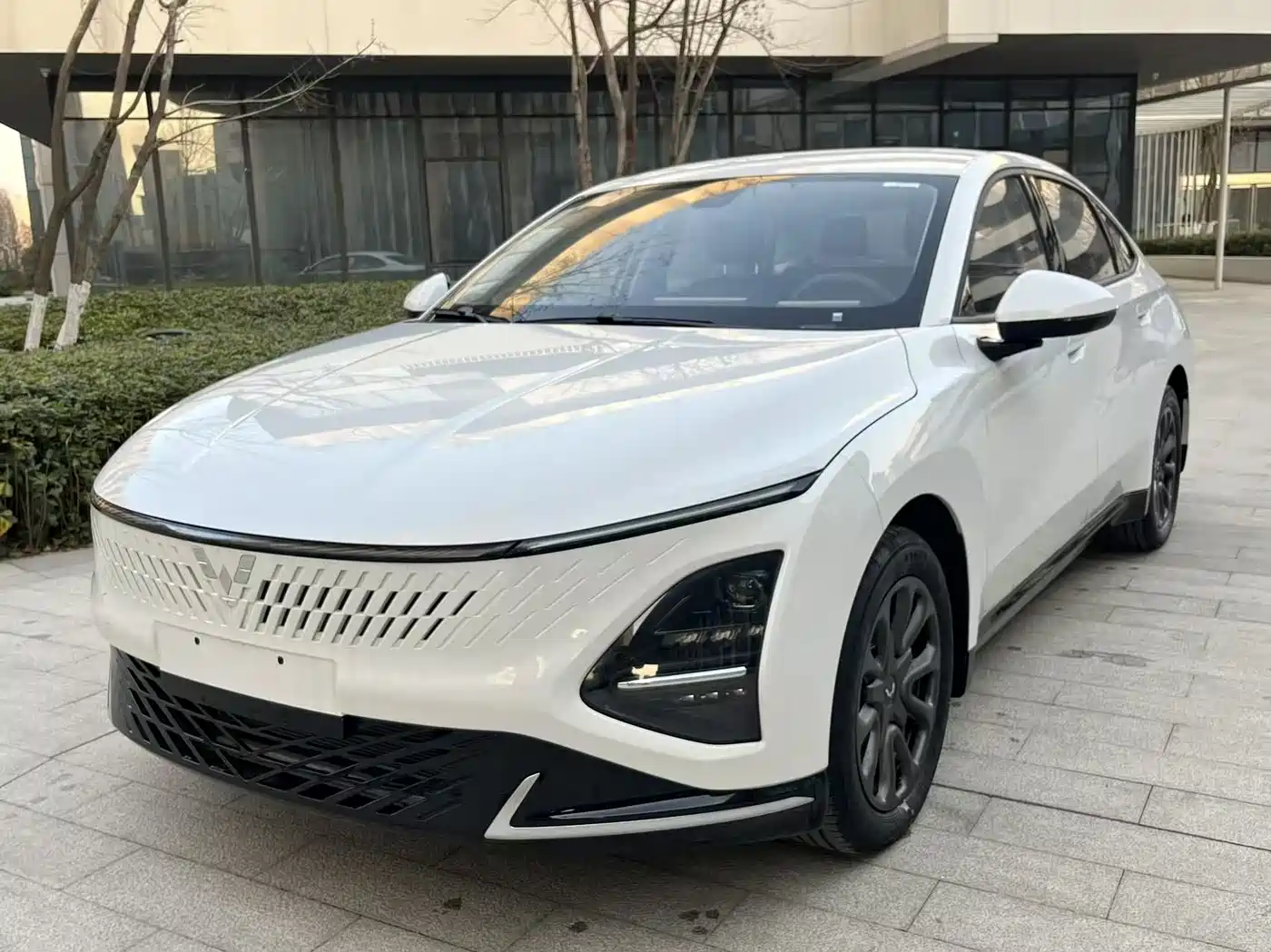2026 Wuling Motors Wuling Xingguang