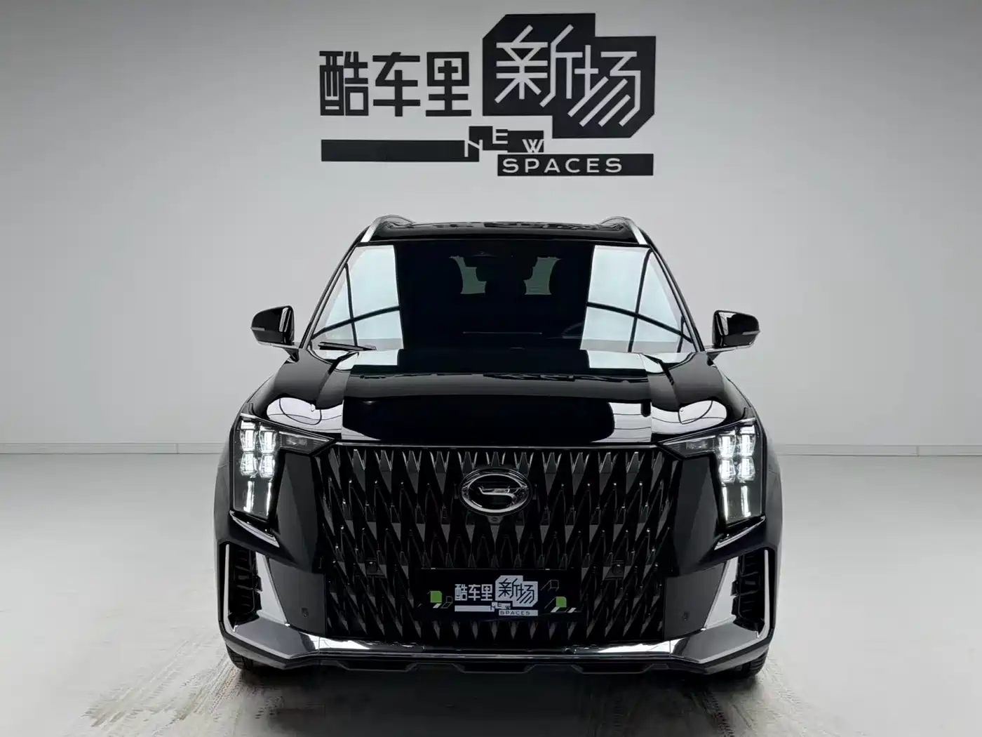 GAC Trumpchi Trumpchi GS8 2022 Dual Engine Series 2.0TM 2WD Premium Edition (7-Seater) фото 2