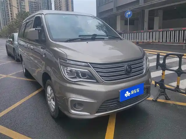 dongfeng lingzhi