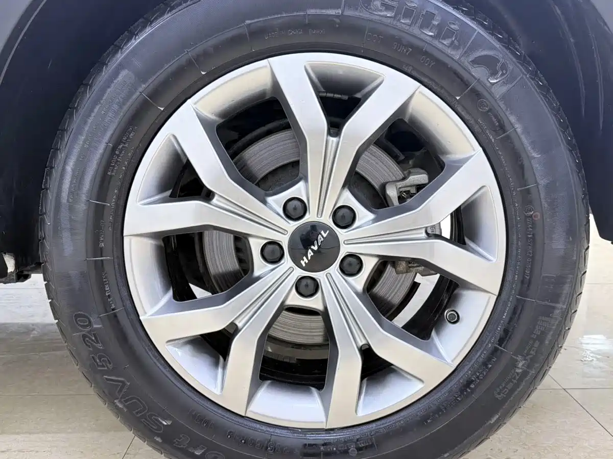 Haval H6 2021 Model National Trend Edition 1.5T Auto Champion фото 24