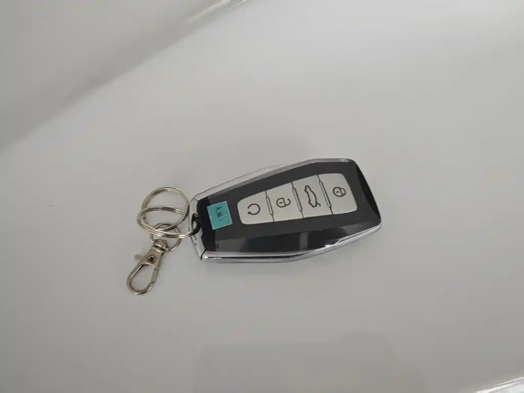 Photo 9 - Geely Binrui