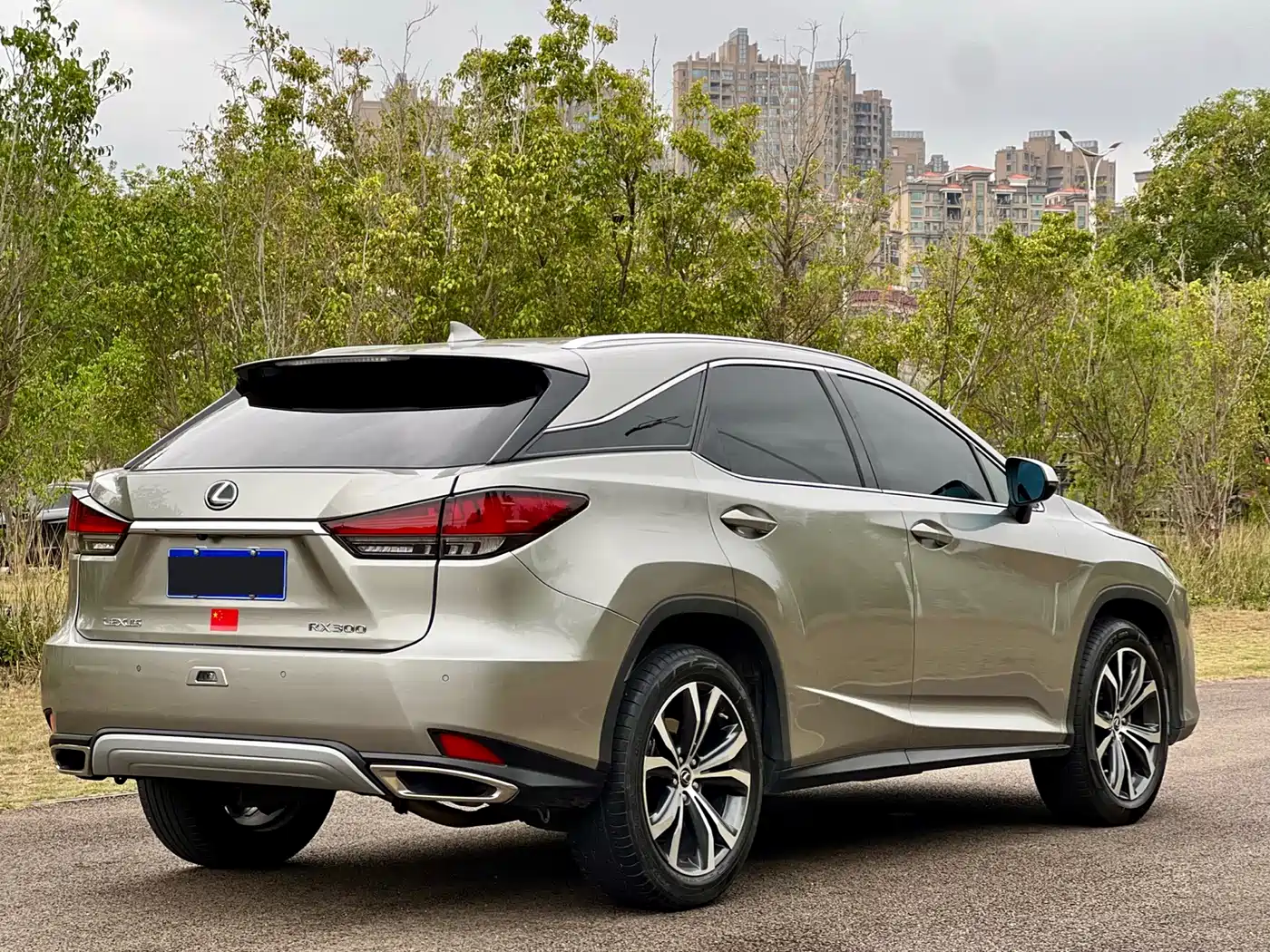 LEXUS RX