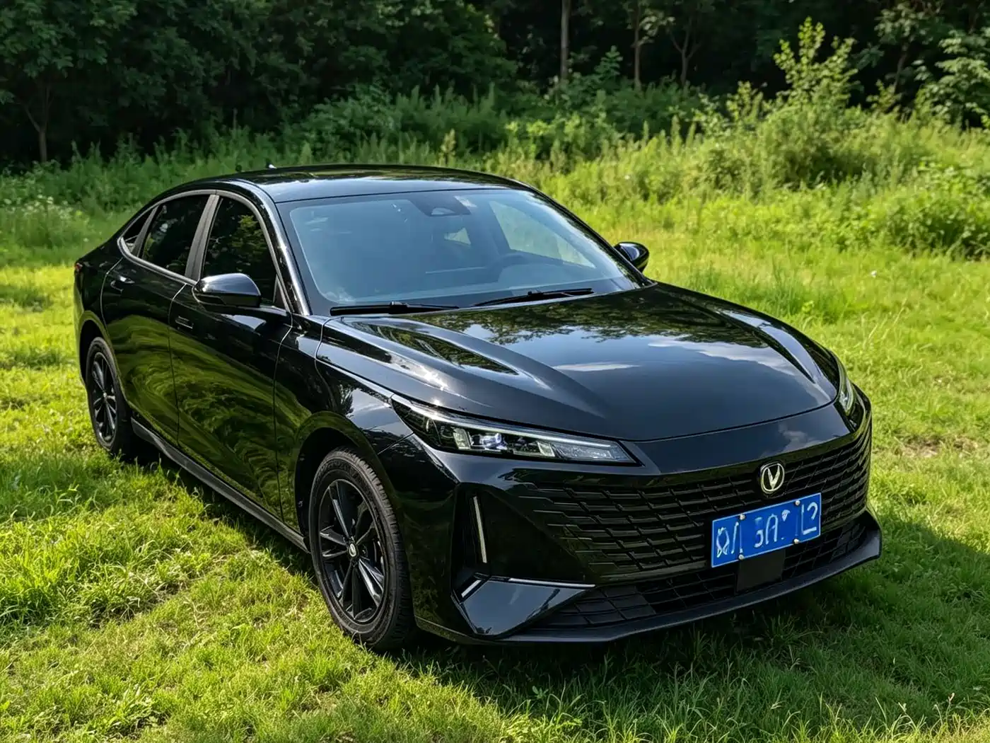 Changan Yida 2024 2023 Blue Whale NE 1.5T GDI DCT Exclusive