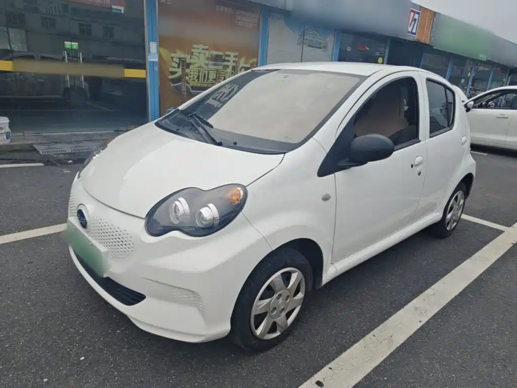 2020 BYD e1