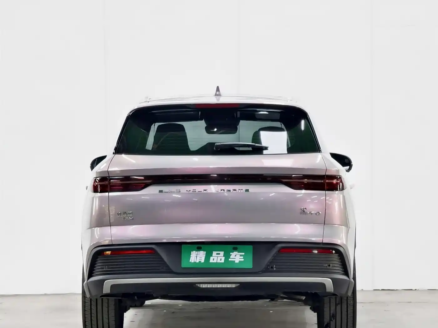 BYD SONGJIANG NEW ENERGY