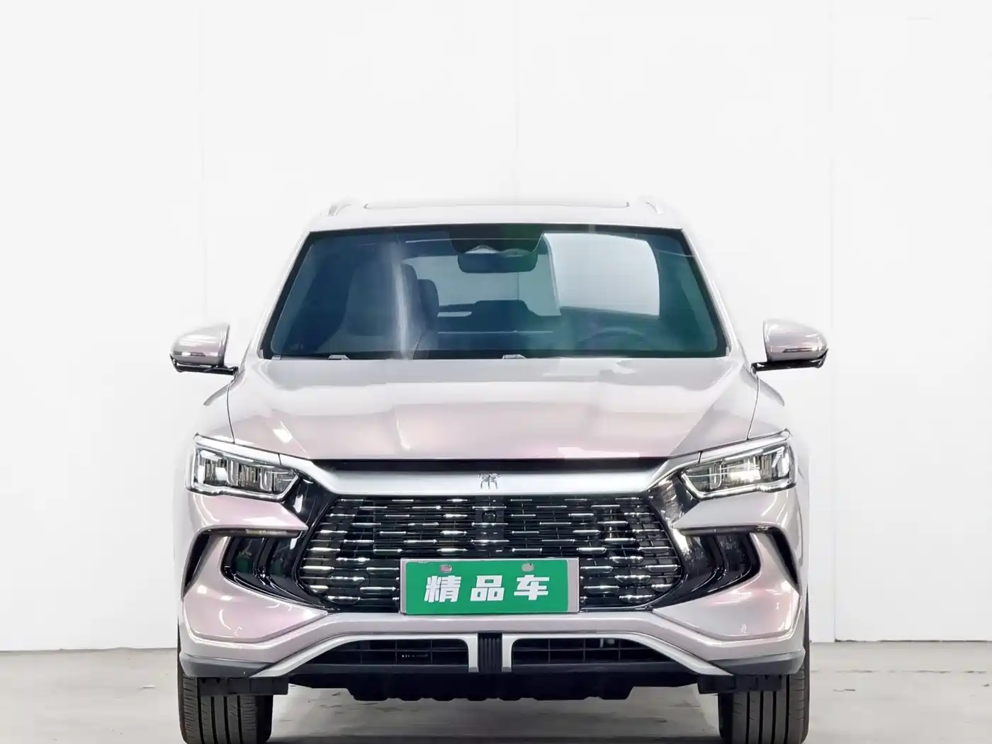 BYD SONGJIANG NEW ENERGY