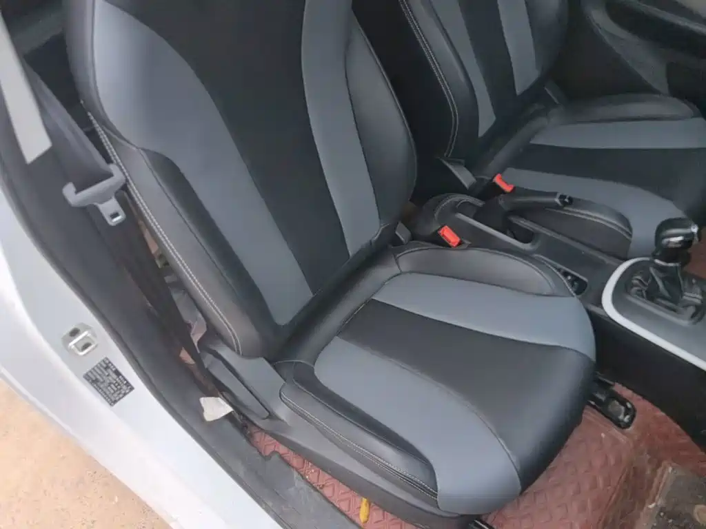 Roewe Kaiwei CLEVER 2023 2022 311km Vitality Bobo Edition