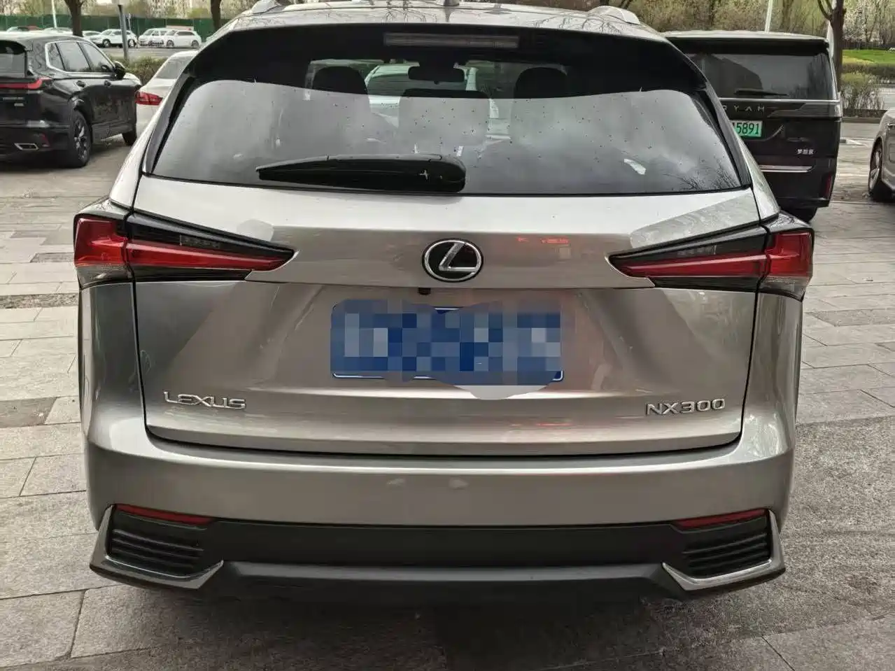 LEXUS NX