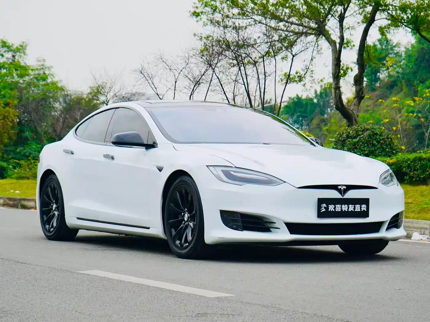 TESLA MODEL S