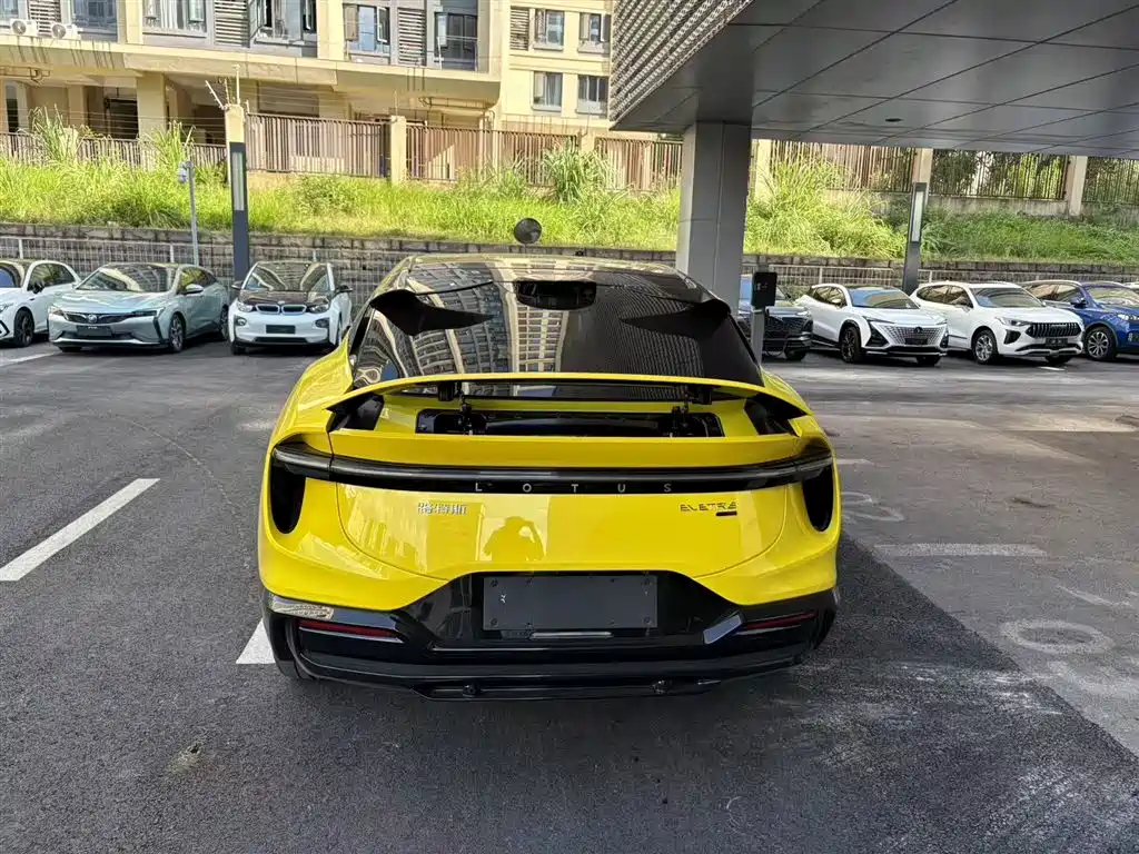 LOTUS SPORTS CAR EMEYA FLOWERS