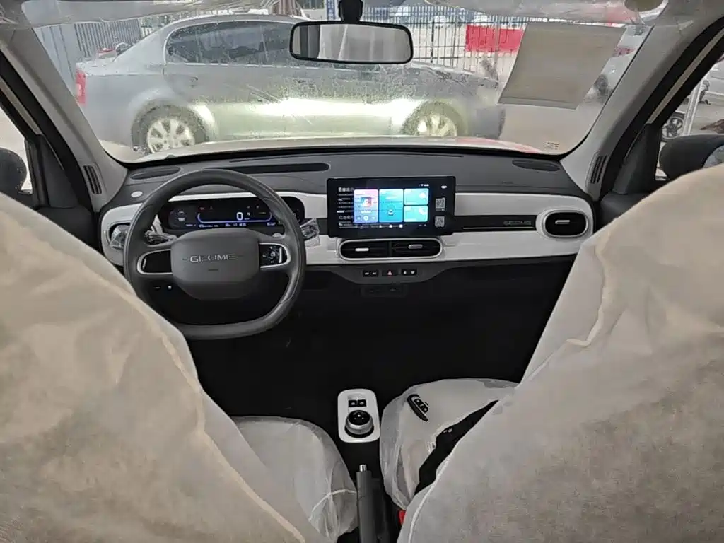 Geely Galaxy Panda 2026 2025 Panda mini 210km Vitality Bear