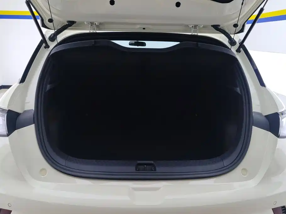 BYD Dolphin 2026 2025 420km Freedom Edition