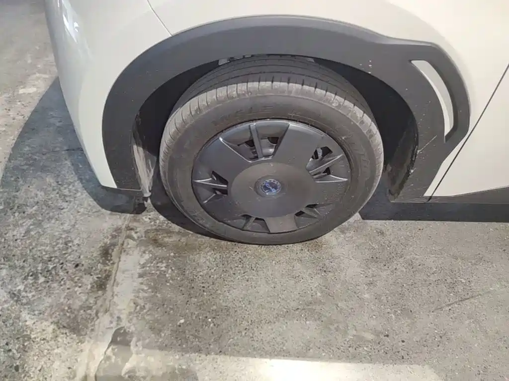 BYD Seagull 2026 2025 305km Vitality