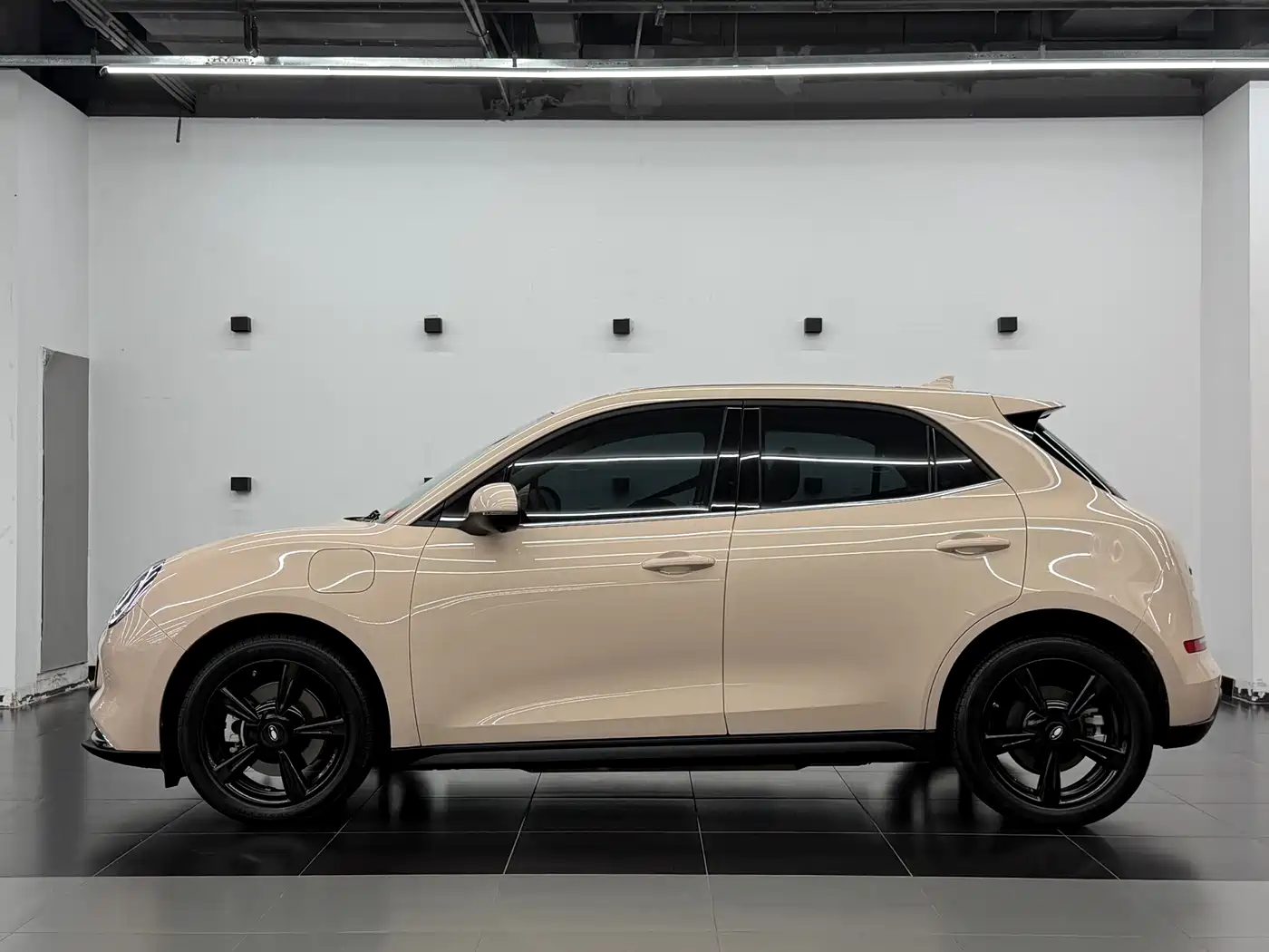 Ora Good Cat 2024 2023 401km Standard Range Luxury NCM