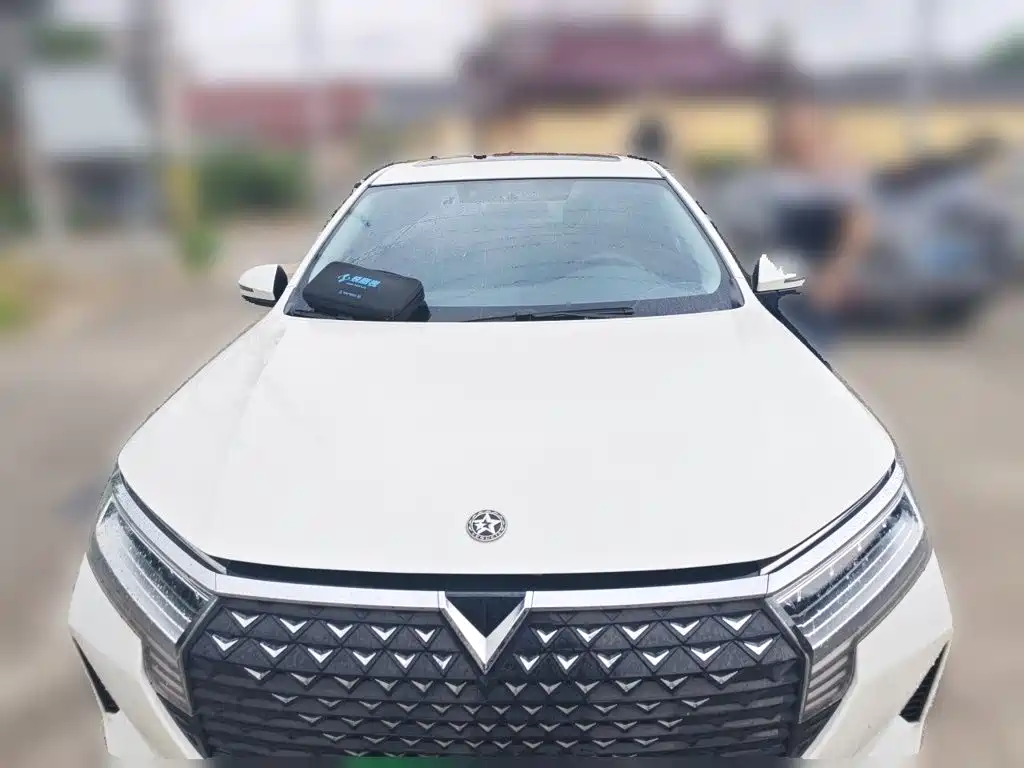 Venucia D60 2024 2023 PLUS 1.6L XL CVT Joy Leader Edition