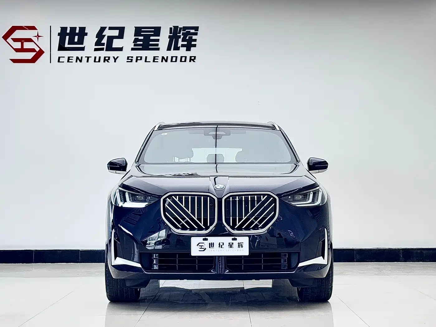 BMW X3 2025 xDrive30L Premium M Sport Package фото 3