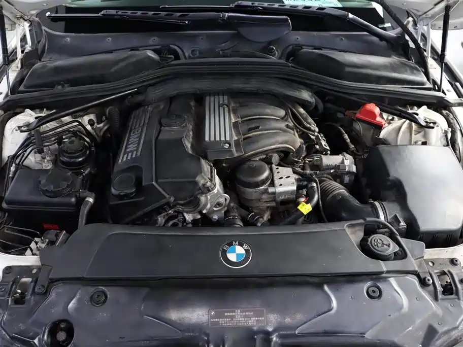 BMW 5 Series 2010 520Li Leading фото 29
