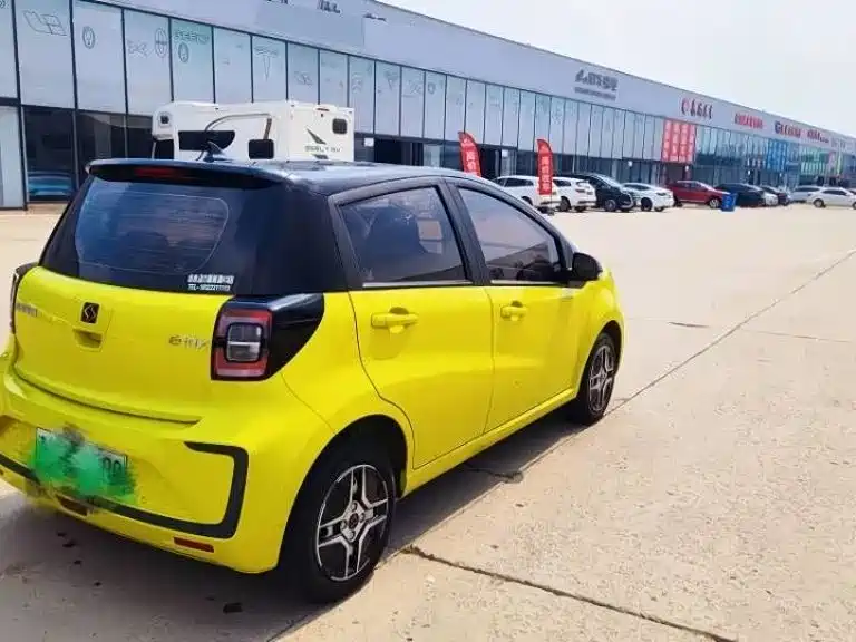 Sehol Flower Fairy 2021 2021 Jimei Edition 302km Luxury