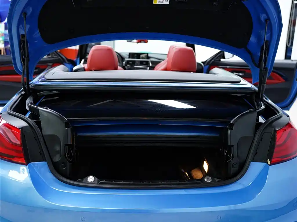 BMW M4 2017 M4 Convertible Fans Limited Edition фото 35