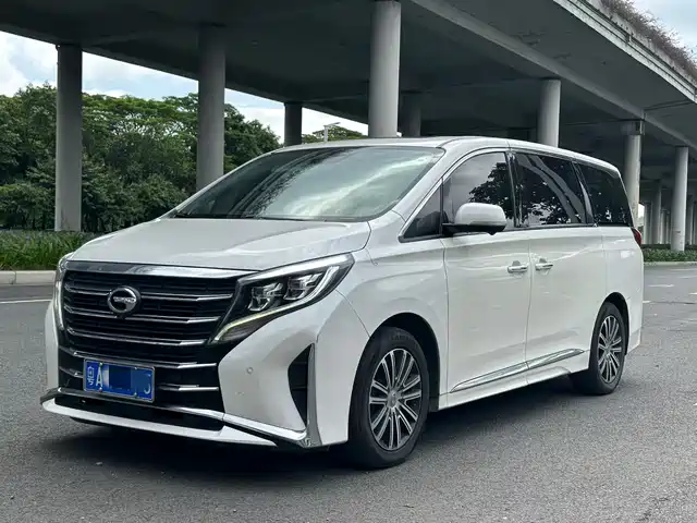 Trumpchi M8 Elegance Series, 390T, Максимум