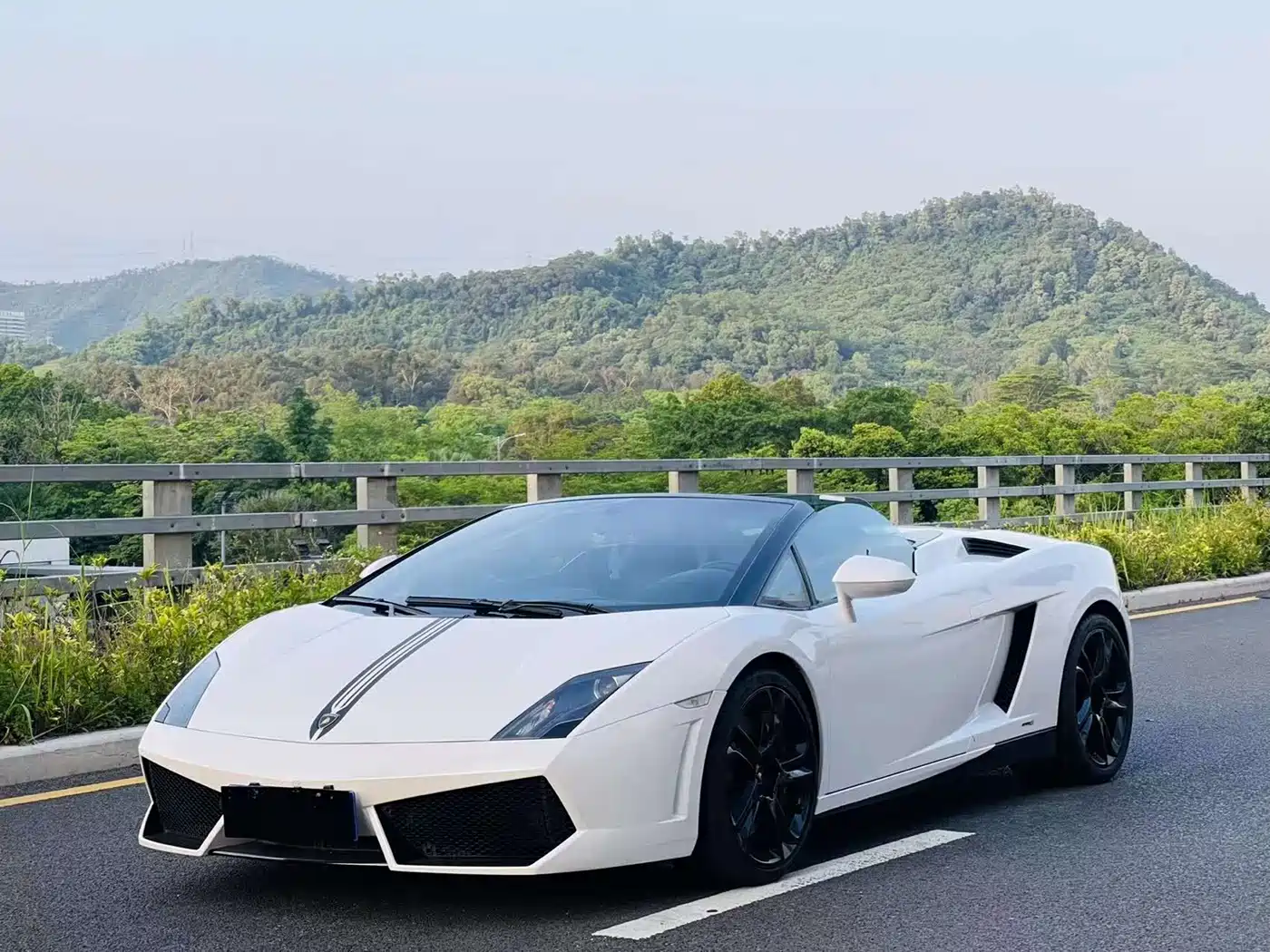 Lamborghini Gallardo 2012 2009 Lamborghini LP 560-4 Spyder