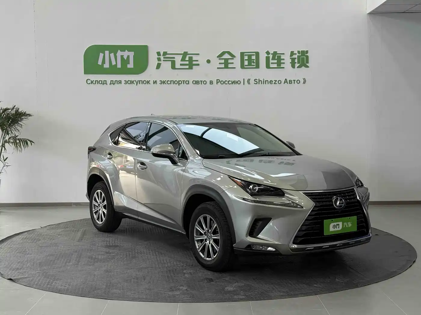 LEXUS NX