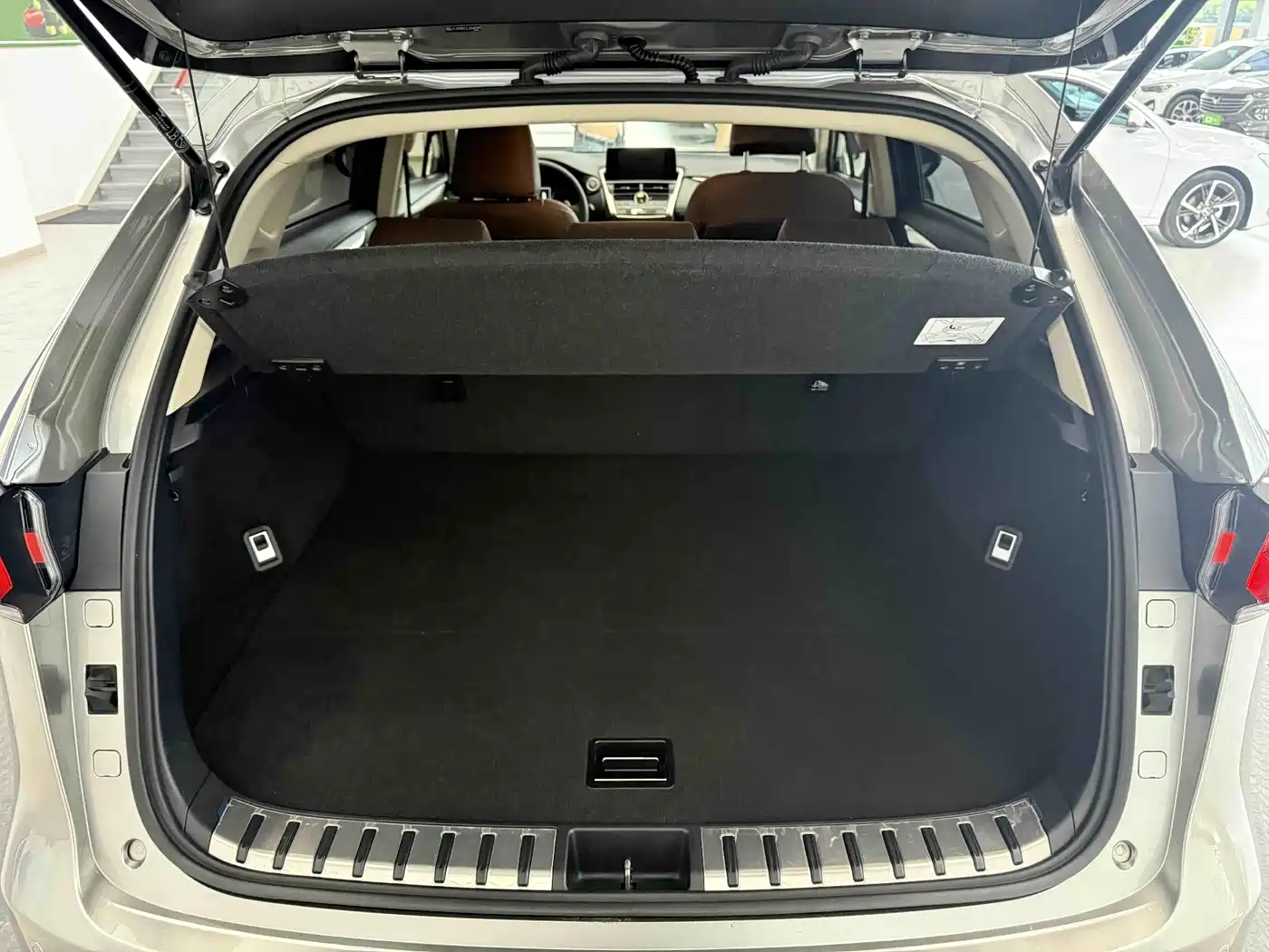 LEXUS NX