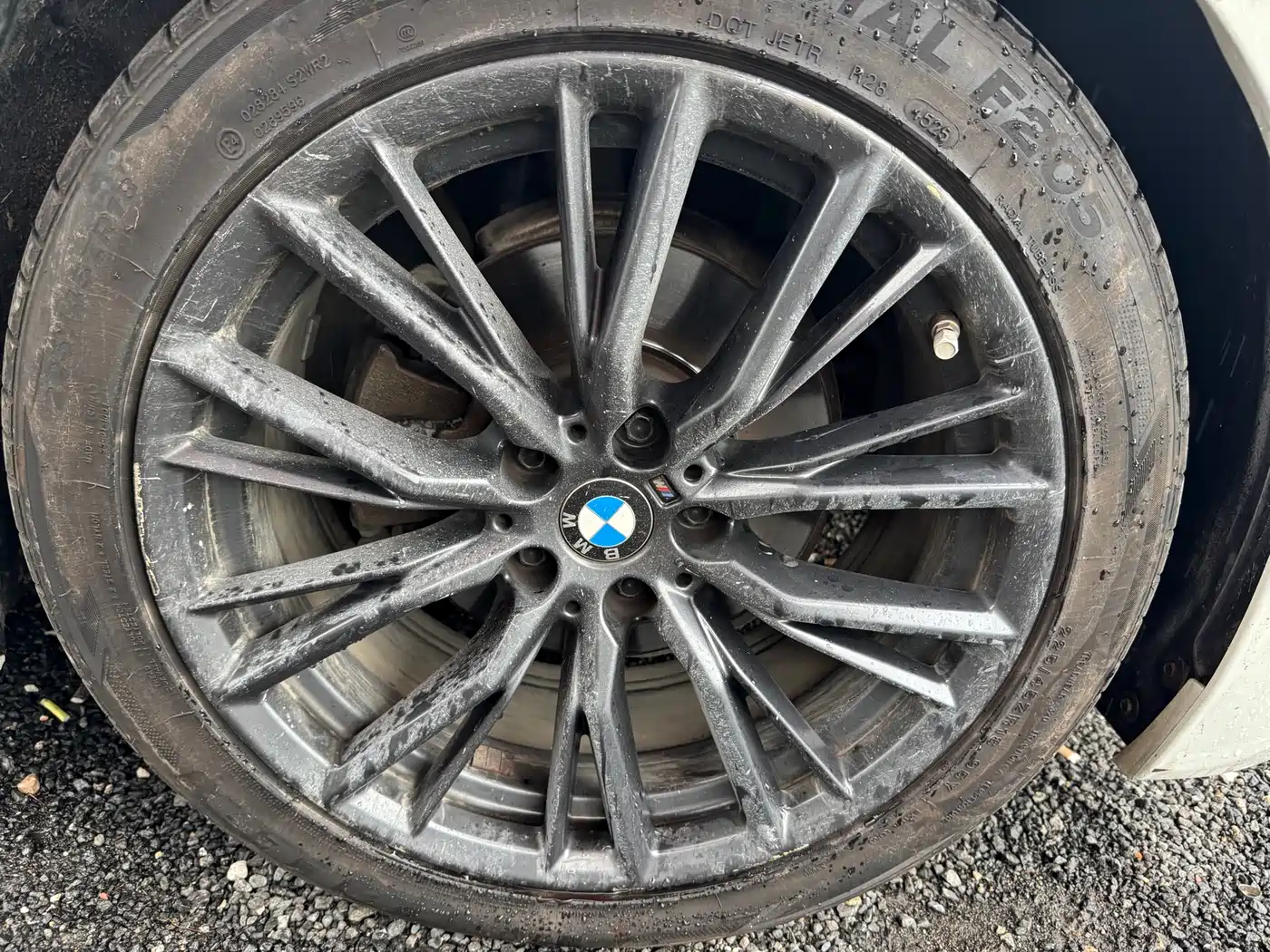 BMW 3 Series 2020 325Li M Sport Black Night Package фото 20