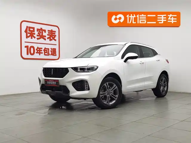 WEI PAI WEI BRAND VV5