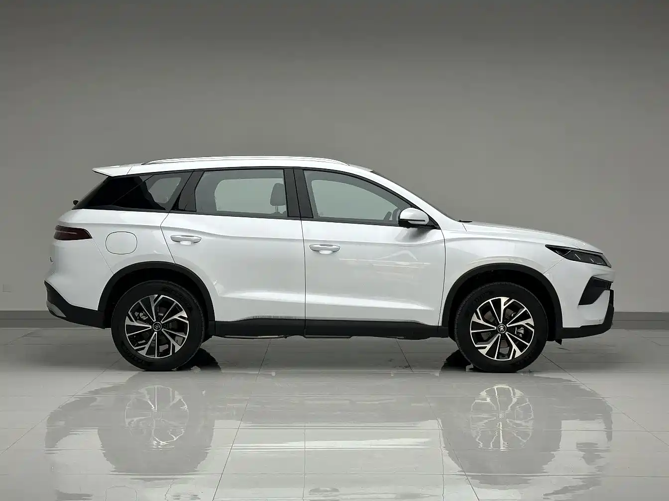 BYD SONGJIANG NEW ENERGY