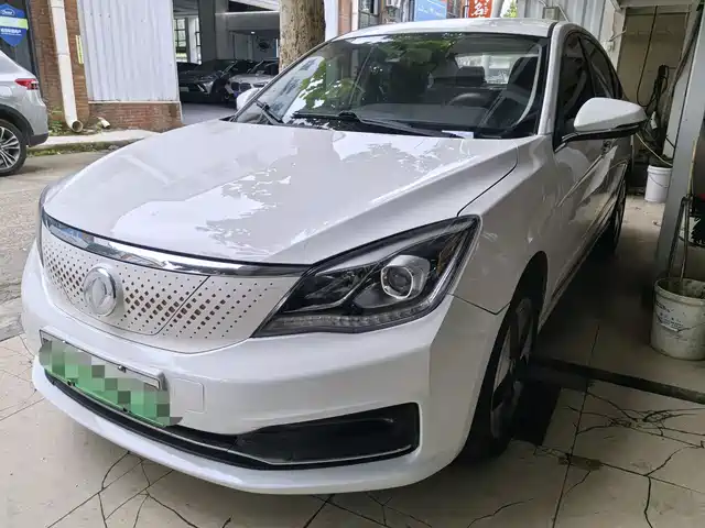 Dongfeng Aeolus Dongfeng Fengshen E70 2020 500 Ultra Comfort Edition