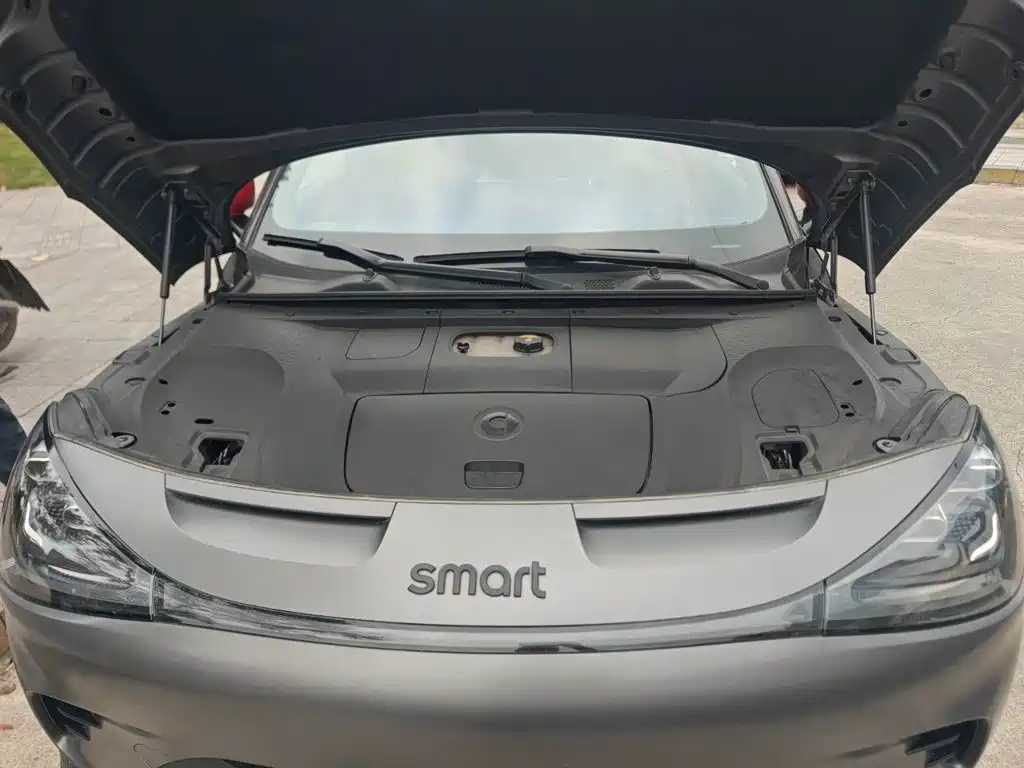 Photo 21 - smart Elf #1
