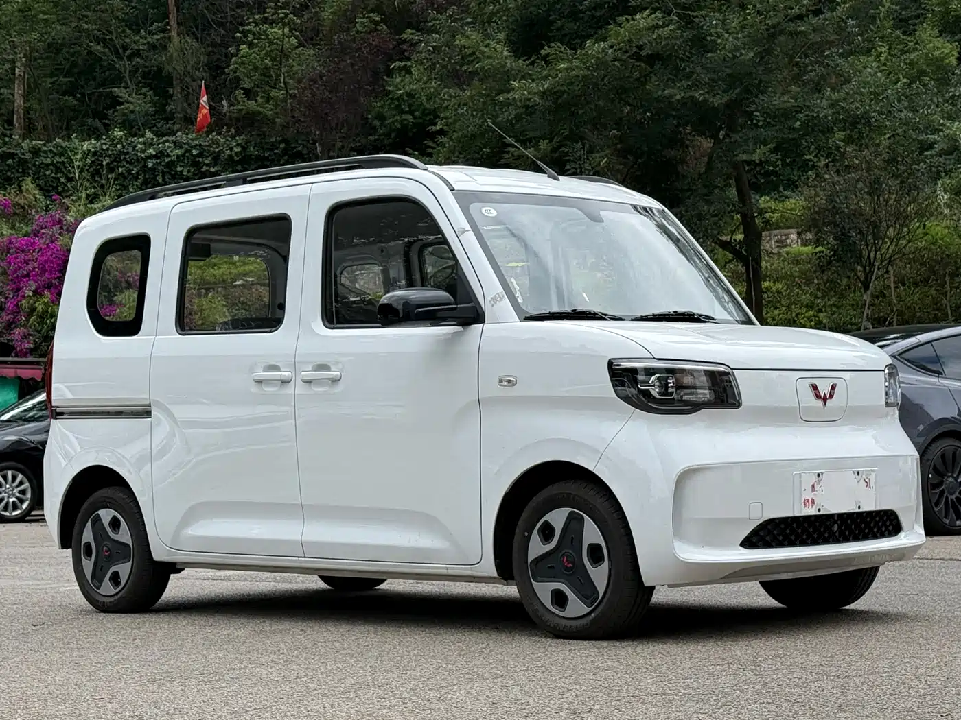 Wuling Motors Wuling Zhiguang NEV 2026 2025 Model 305km Base Version